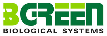 BGreen